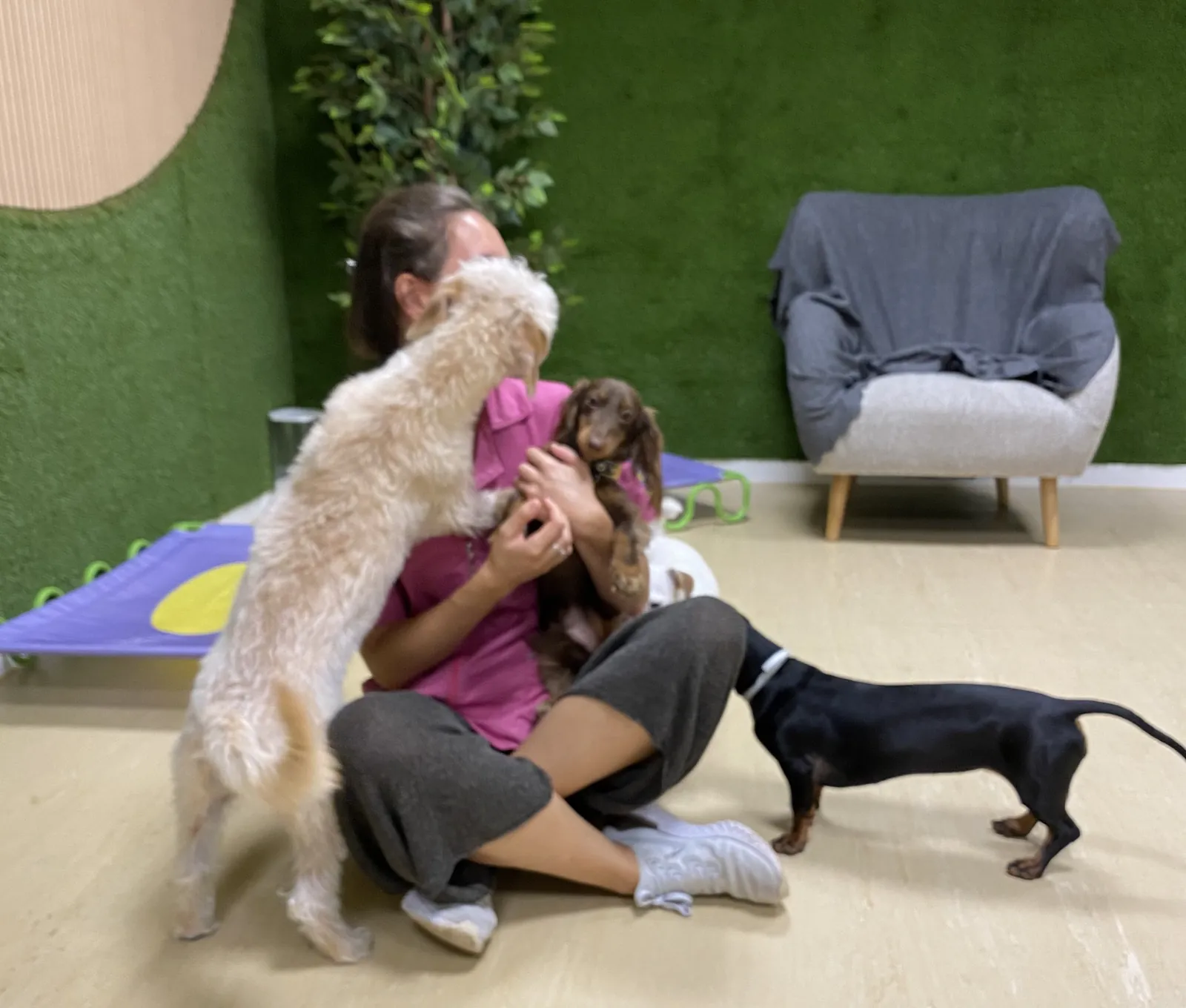Una cuidadora de la guardería sentada en el suelo abrazando a los perros