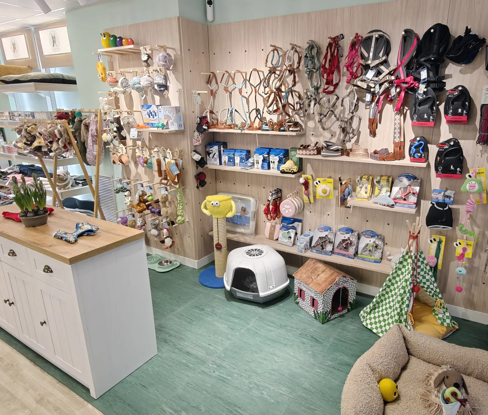 Interior de la tienda de animales con correas, arneses, juguetes y camas