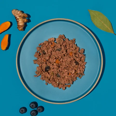 P04 Adult Dog – Iberian pork
