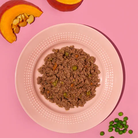 P06 Adult Dog – Tasty salmon & turkey