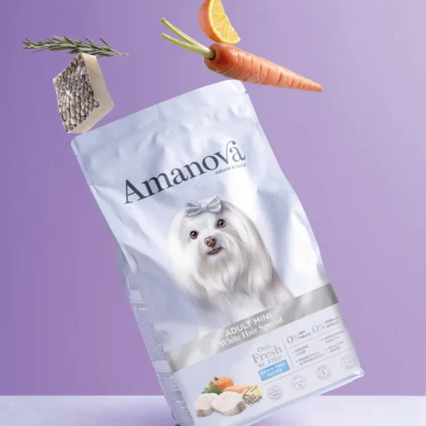 Adult mini - White hair special