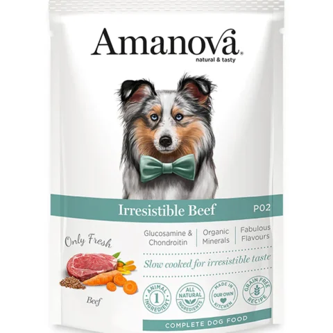 P02 Adult Dog – Irresistible beef